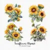Sunflowers Clipart – Bright Yellow Floral PNG Set - Image 4