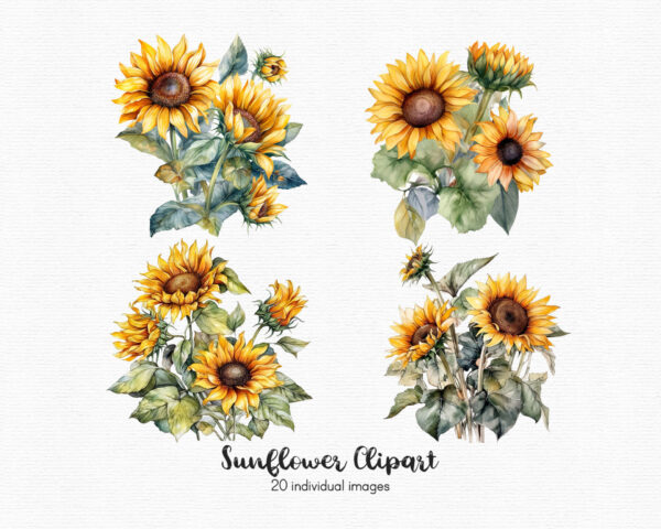 Sunflowers clipart set of 20 PNG - Image 4