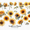 Sunflowers Clipart – Bright Yellow Floral PNG Set - Image 3