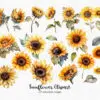 Sunflowers Clipart – Bright Yellow Floral PNG Set - Image 3