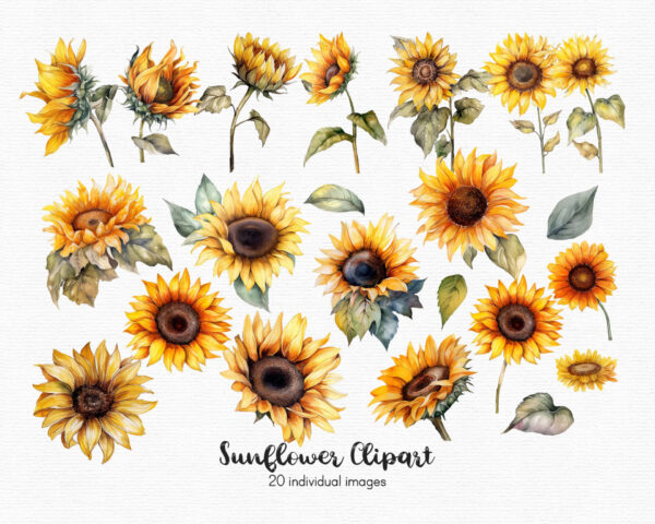 Sunflowers clipart set of 20 PNG - Image 3