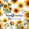 Sunflowers Clipart – Bright Yellow Floral PNG Set