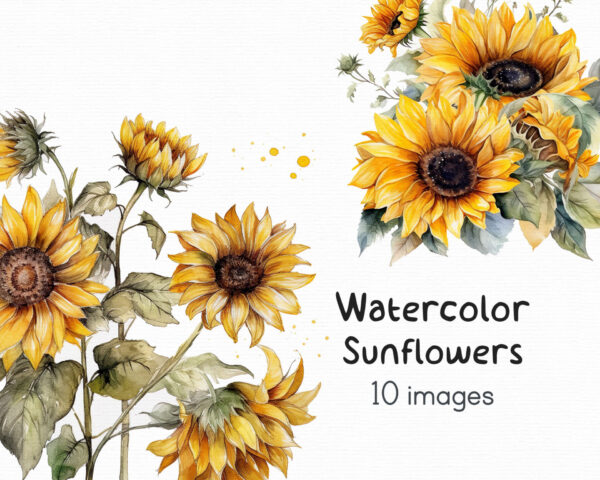 Watercolor Sunflower Clipart