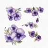 Watercolor pansy flowers clipart - Image 4
