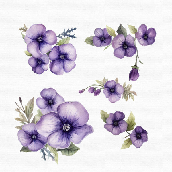 Watercolor pansy flowers clipart - Image 4