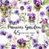 Watercolor pansy flowers clipart
