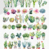 Watercolor Cactus Clipart – Succulents JPG Set - Image 5