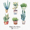 Watercolor Cactus Clipart – Succulents JPG Set - Image 4