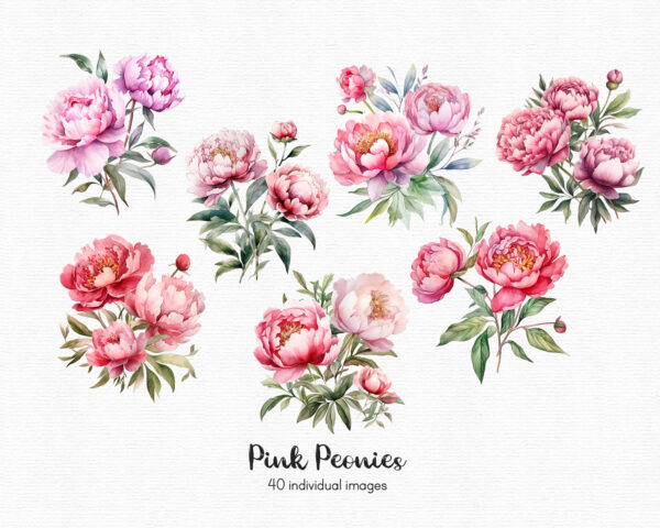 Pink Peonies Clipart - Image 2