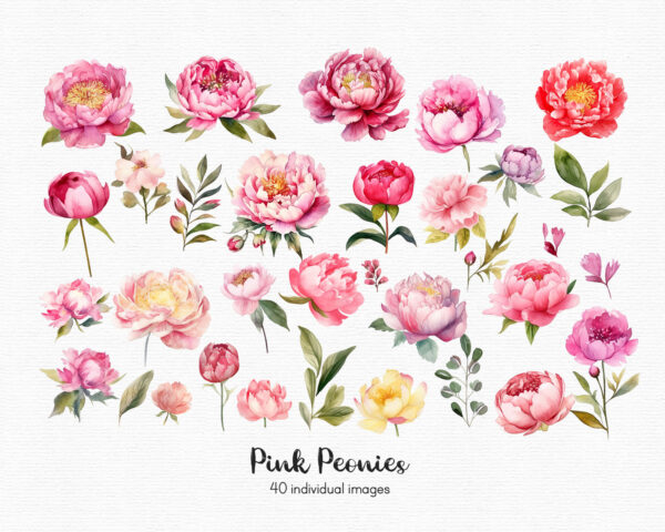 Pink Peonies Clipart - Image 3