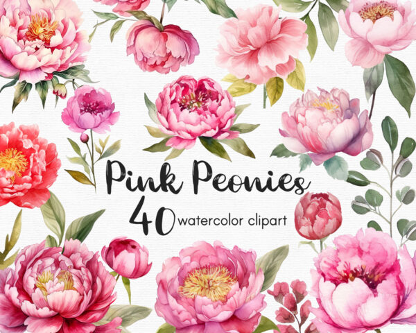 Pink Peonies Clipart