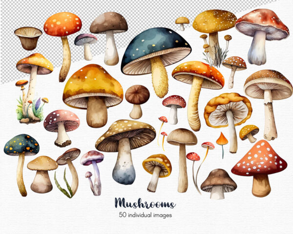 Mushroom Clipart, magic mushrooms clipart, 50 png - Image 4