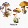 Fantasy mushroom illustration with transparent background
