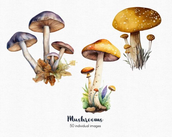 Mushroom Clipart, magic mushrooms clipart, 50 png - Image 2