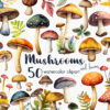 Magic mushrooms clipart PNG
