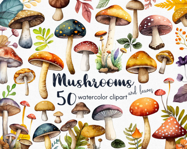 Mushroom Clipart, magic mushrooms clipart, 50 png