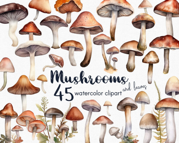 Mushroom clipart