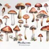 Mushroom Clipart – Cute Forest PNG Illustrations - Image 3