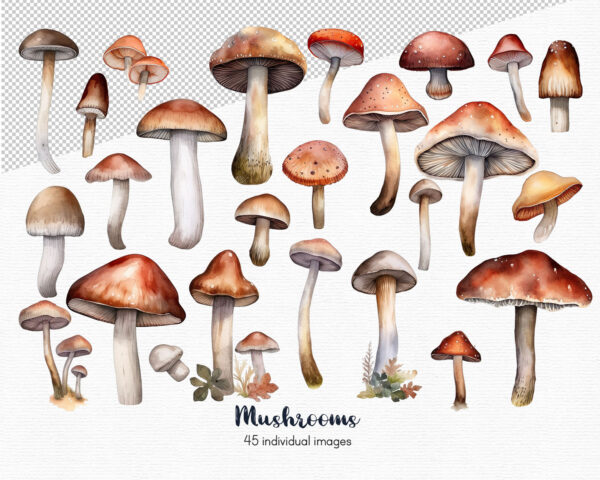 Mushroom clipart - Image 3