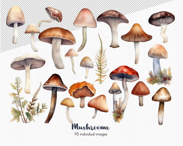 Mushroom clipart - Image 4