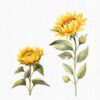 two Sunflower Clipart PNG with transparent background