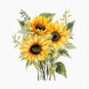 Sunflower arrangement Clipart PNG with transparent background