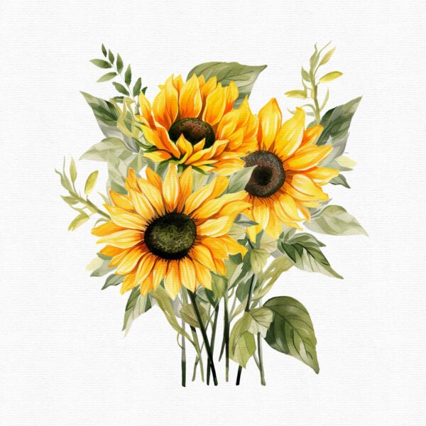 Sunflower clipart - Image 8