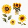 Sunflower Clipart PNG with transparent background