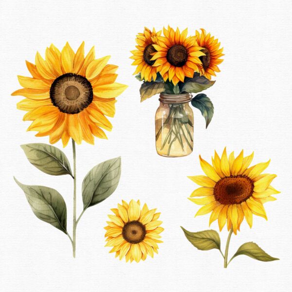 Sunflower clipart - Image 10