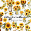 Sunflower Clipart PNG with transparent background