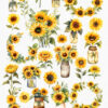 Sunflower Clipart PNG with transparent background