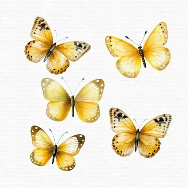 Sunflowers and Butterflies Clipart – Floral PNG Set - Image 7