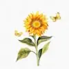 Sunflowers and Butterflies Clipart – Floral PNG Set - Image 8