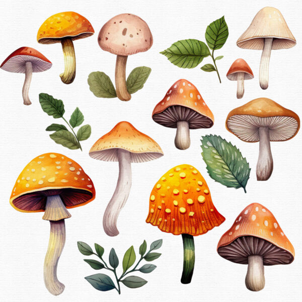 Mushroom clipart - Image 3