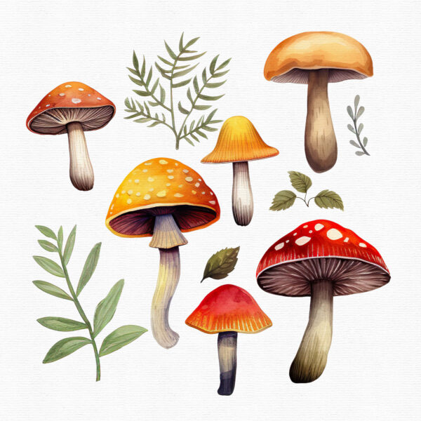 Mushroom clipart - Image 8