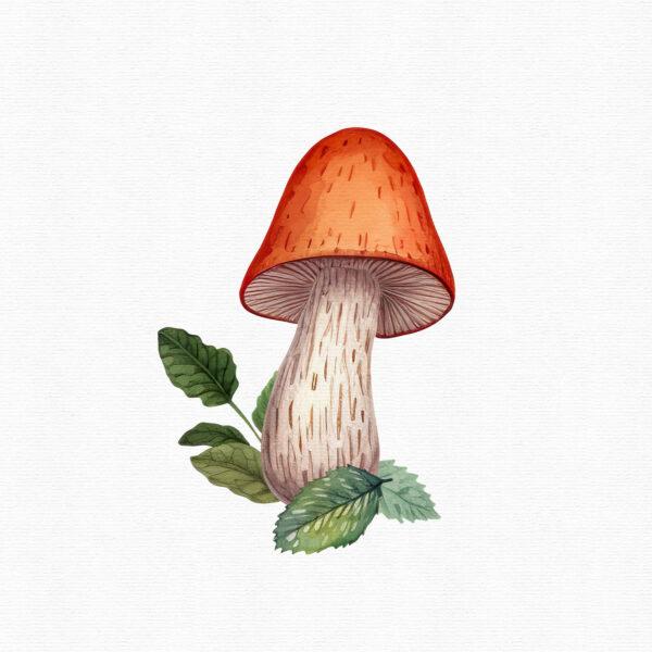 Mushroom clipart - Image 7