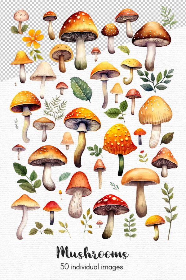 Mushroom clipart - Image 4