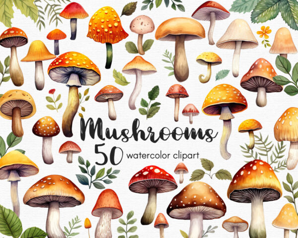 Mushroom clipart