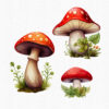 Red mushroom graphics with transparent background