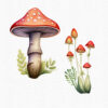 Red mushroom graphics with transparent background
