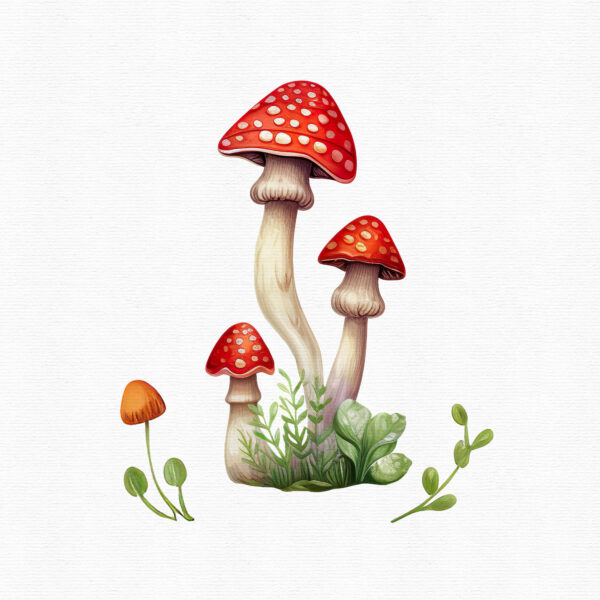 Red Mushroom clipart - Image 4