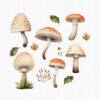 Red Mushroom Clipart – PNG Toadstool Graphics for Crafts - Image 6