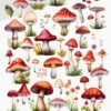 Red mushroom clipart set for digital craft
