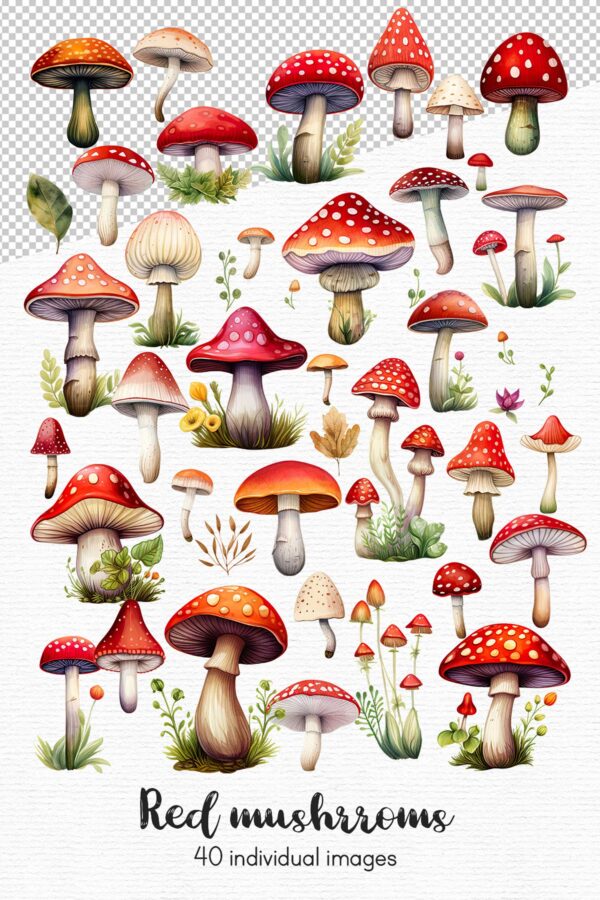 Red Mushroom clipart - Image 8