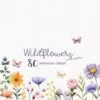 Watercolor wildflowers and butterfly elements, clipart set