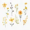 High-resolution yellow flowersPNGs