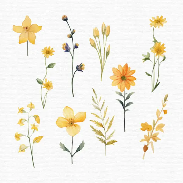 High-resolution yellow flowersPNGs