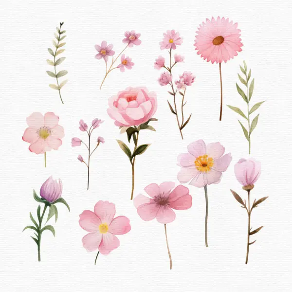 High-resolution floral and butterfly PNGs