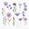 High-resolution floral and butterfly PNGs