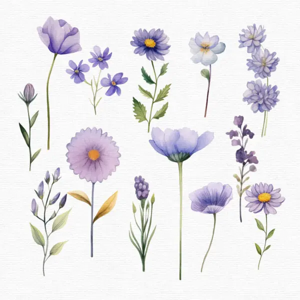 High-resolution floral and butterfly PNGs
